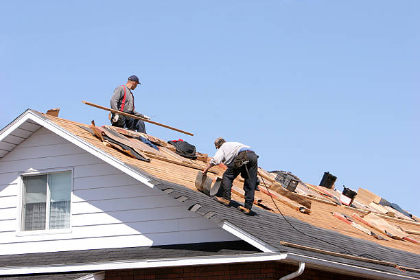 Best Roof Maintenance and Cleaning  in Potomac Heights, MD